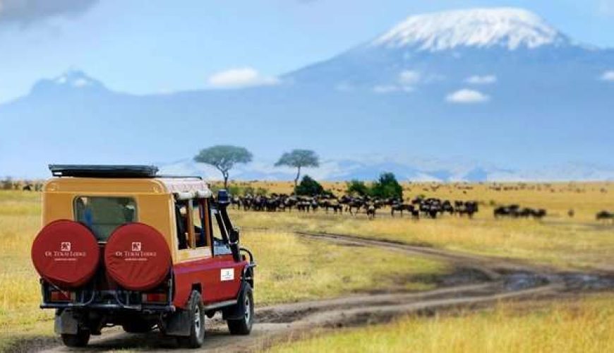 15 Reasons Why Use Africa Safari Specialist