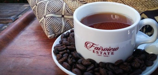 Nairobi Coffee Farm Excursion